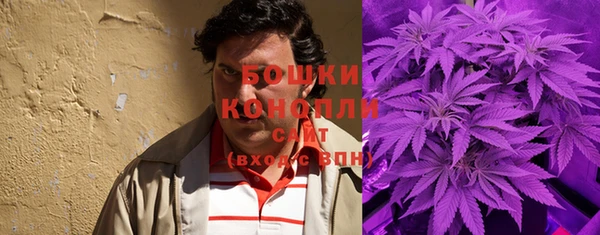 тгк Белокуриха