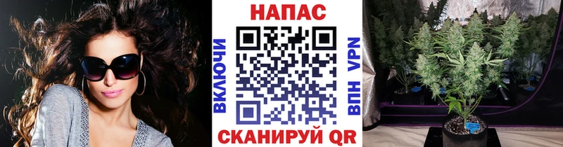 Бошки Шишки ГИДРОПОН  сайты даркнета телеграм  Макаров 